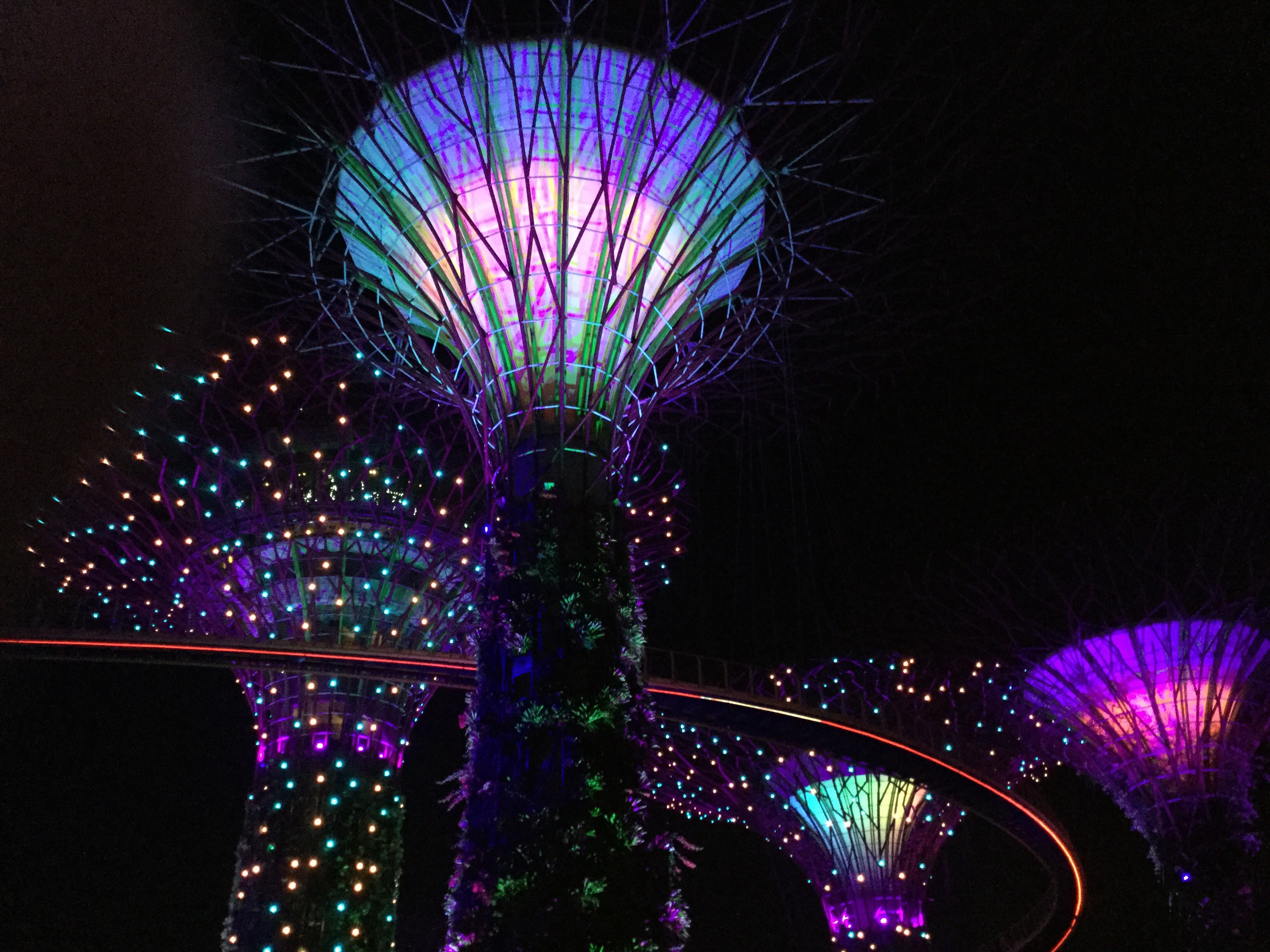Super Trees Garden By the Bay