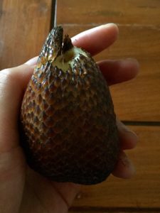 Snake fruit | Exotic tropical fruit | Indonesia | South east asia