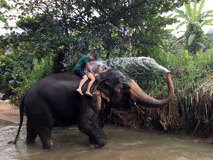 ravi_elephant_couch_surfing